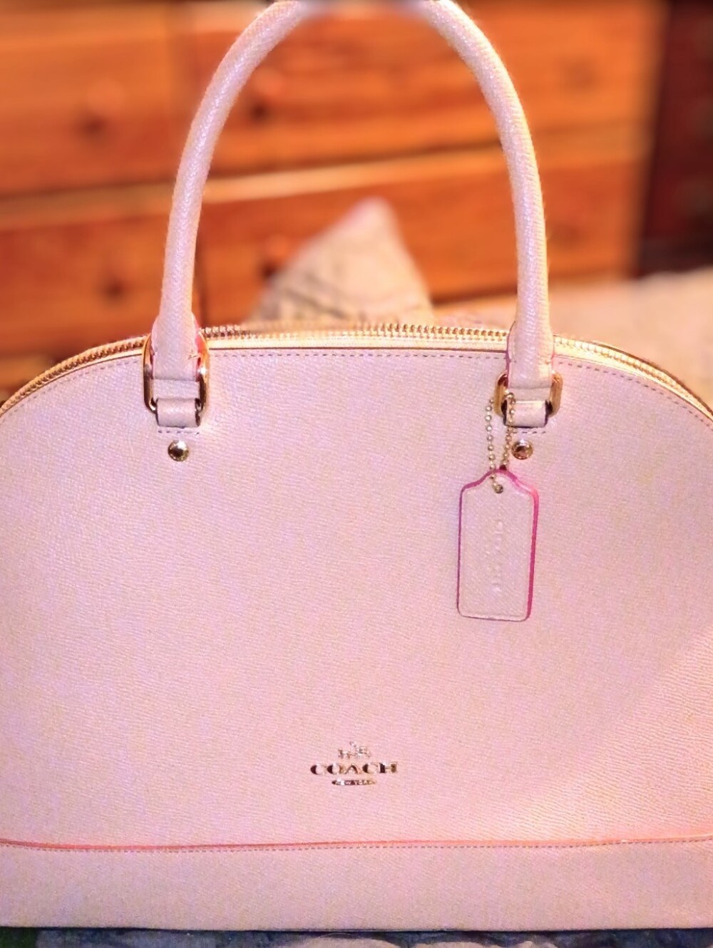 EUC Coach Sierra Satchel Dome Bag Nude Pink Multi Edgepaint Crossgrain Leather🩷